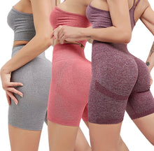 Load image into Gallery viewer, PREMIUM QUALITY RTA WOMEN HIGHT WAIST SEAMLESS FITNESS SHORTS
